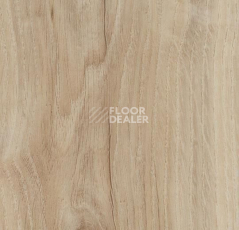 Кварцвиниловые полы Forbo Allura Click 60305CL5 light honey oak фото 1 | FLOORDEALER
